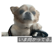 838532173