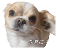 838532175
