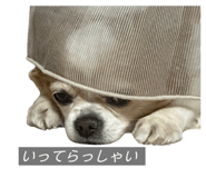 838532179