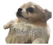 838532181