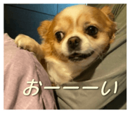 838532182