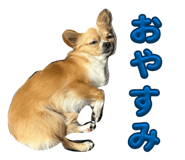 838532595