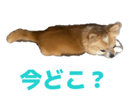 838532603