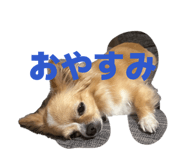 838532605