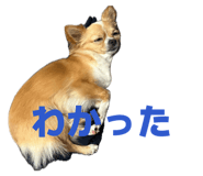 838532611