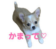 838532622