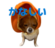 838532624
