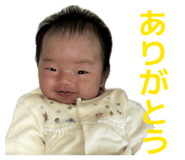 838533113