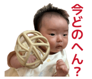 838533144