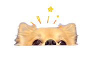 838533729