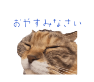 838533772