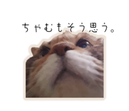 838533773