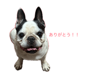 838533795