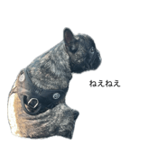 838533796