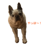 838533803