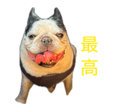 838533815