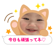 838534033
