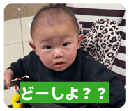 838534040
