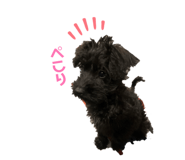 838535346