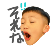 838535353
