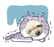 838535529