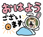 838535678