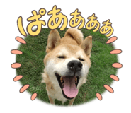 838535679