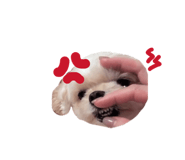 838535825