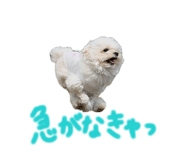 838535828