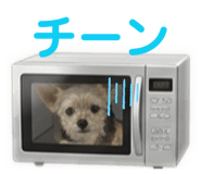 838536128