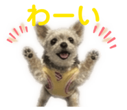 838536130