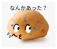 838536306