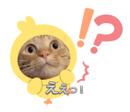 838536334