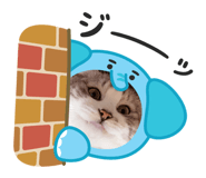 838536341