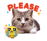838536348