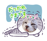 838536357