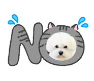 838536930