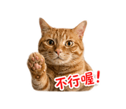838537770