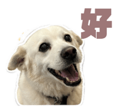 838538652
