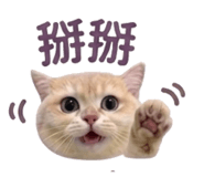 838539224
