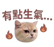 838539228