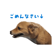 838539815