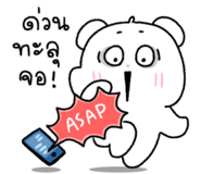 838540048
