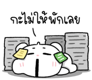 838540051