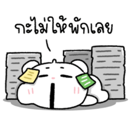 ลายที่ 19