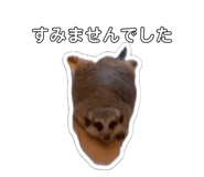 838540212