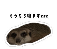 838540213