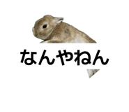 838540331