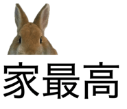 838540342