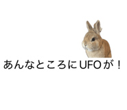 838540343